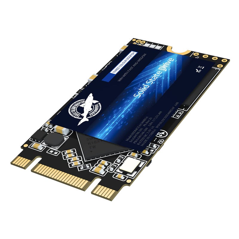 THREE COLOUR DOGFISH Dogfish SSD M.2 2242 128GB Unit?a Stato Solido Interne Interno Internal Integrata Solid State Drive Disk Laptop Hard Drive M2 (M.2 2242 128GB) - Image 1